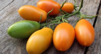 Banana variety orange