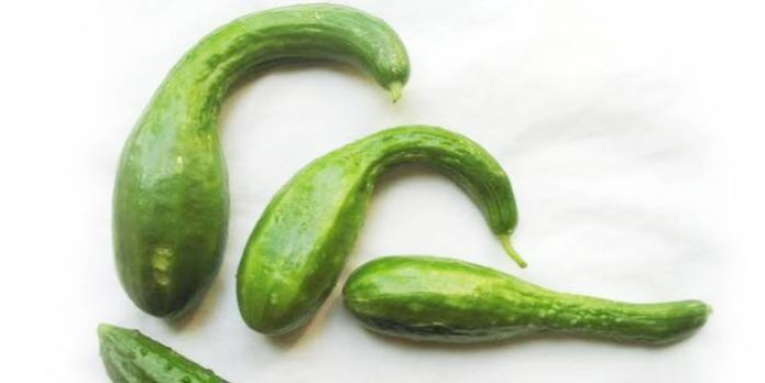 Deformed cucumbers