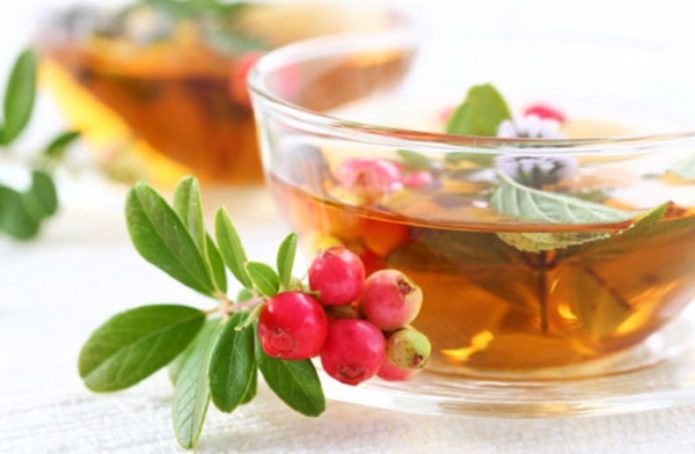 Bearberry tea