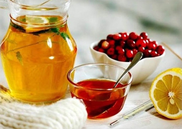 Bearberry decoctions and infusions