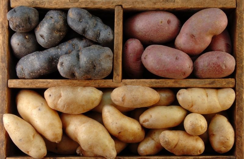 Potato varieties in a wooden box with compartments