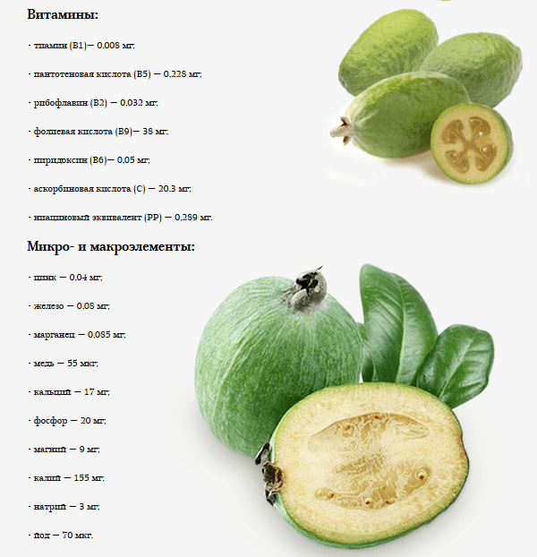 Feijoa Vitamin Table